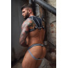 Breedwell Harnais Intimidator Breedwell Noir-Gris